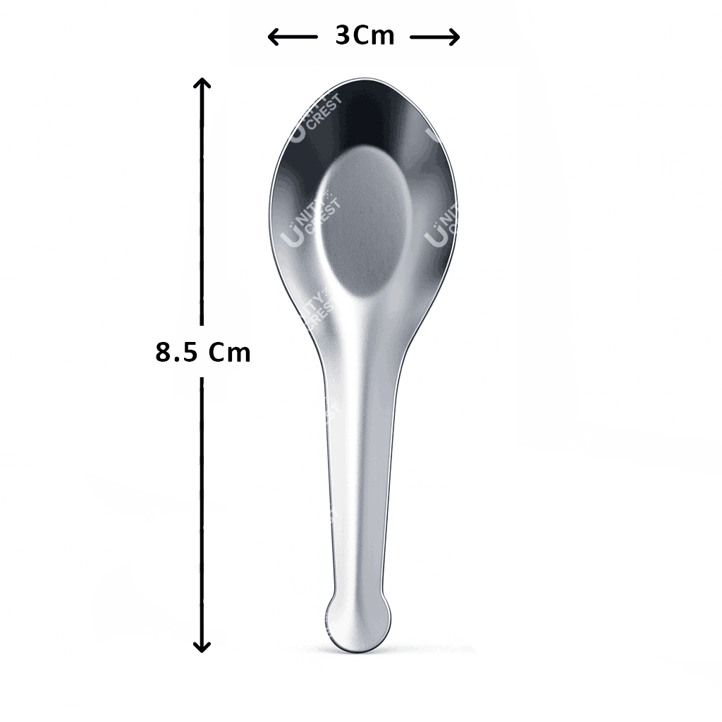 Masala Spoon set of 12